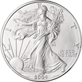 2004 American Silver Eagle