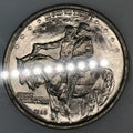 1925 Stone Mountain Half Dollar